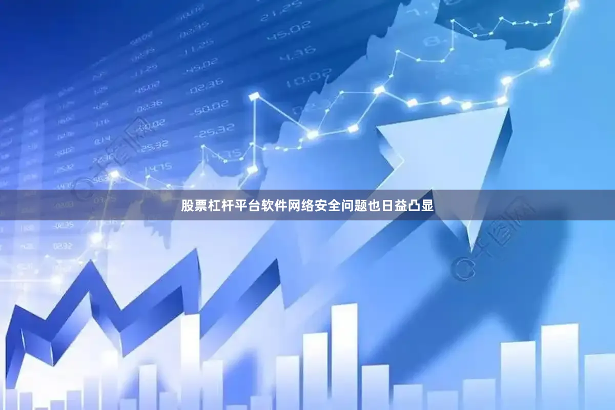 股票杠杆平台软件网络安全问题也日益凸显